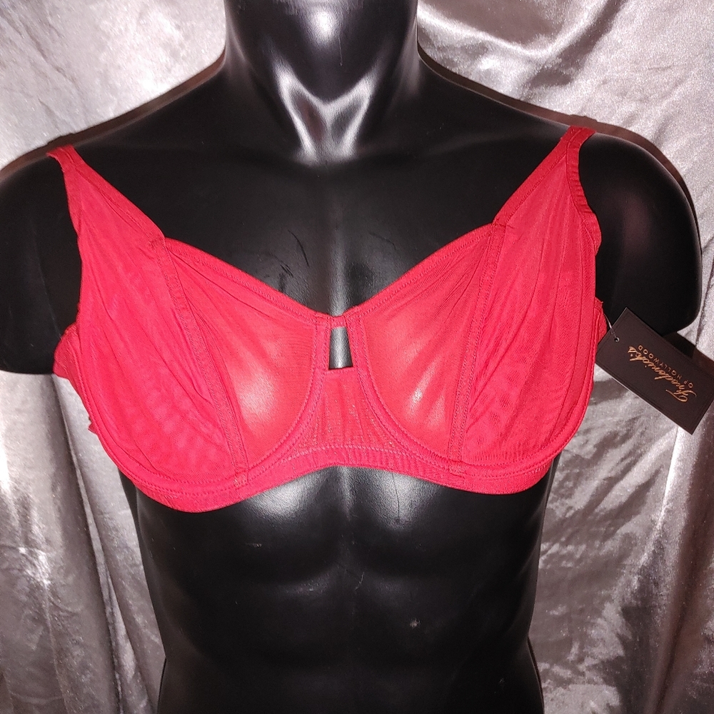 Frederick's Of Hollywood New Red Jess Jolie mesh balconet Bra. size 32 F. W/Tags